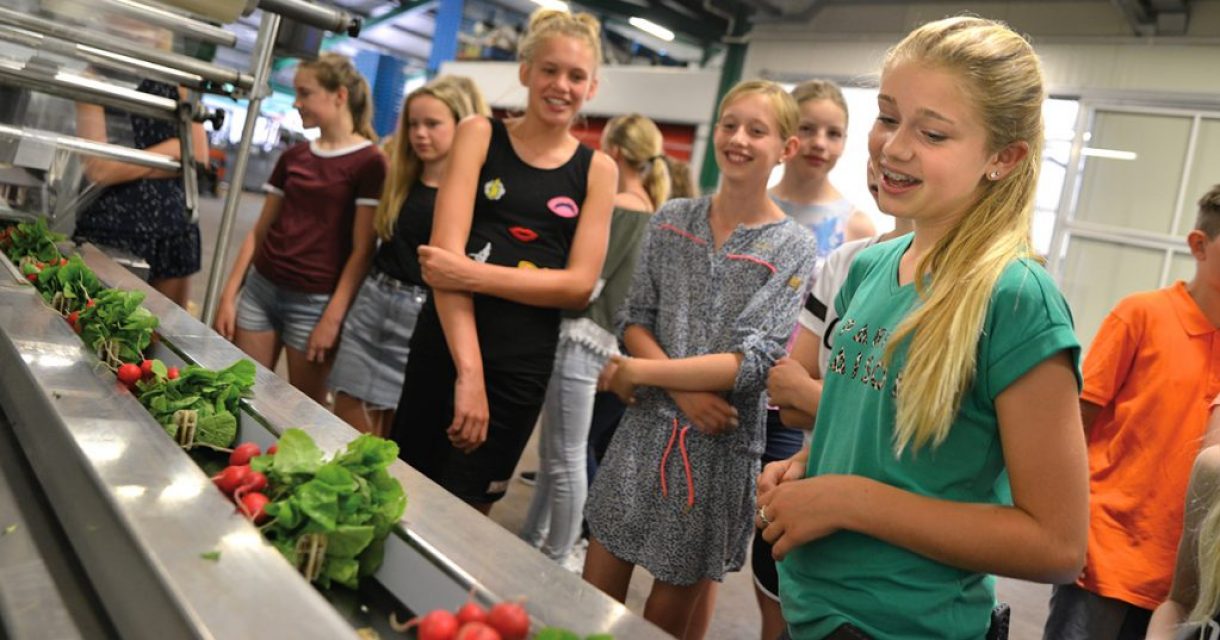 Leerlingen op Het Groene Lyceum