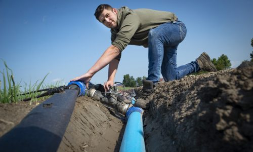 Student Agro checkt bewatering