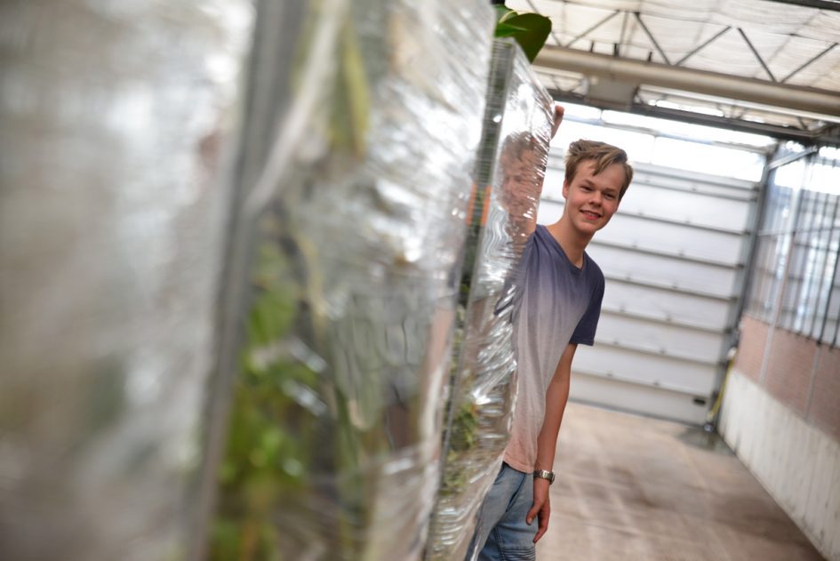 Student Agrohandel & Logistiek staat achter kar met producten