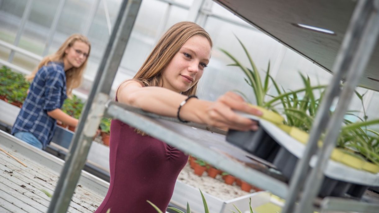 Agrohandel & Logistiek