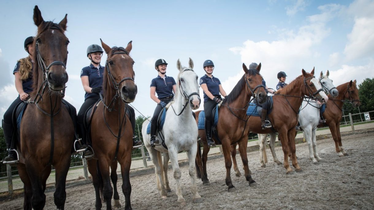 Groep studenten te paard
