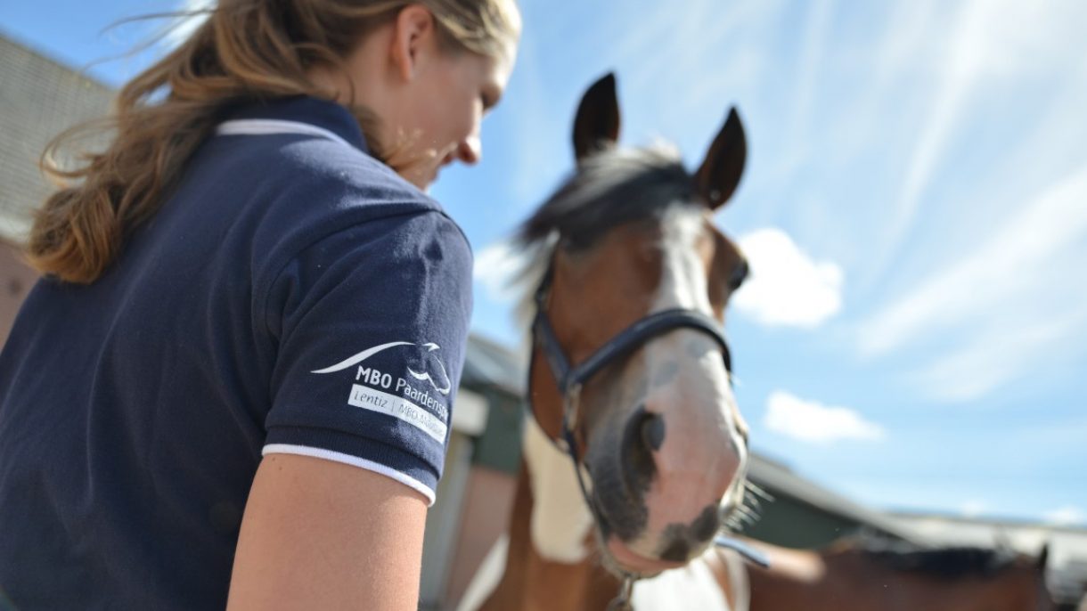 Meisje bij paard