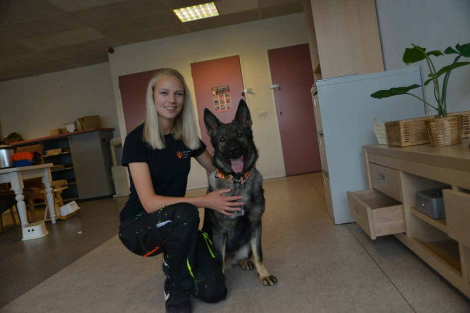 Student dierverzorging met diensthond