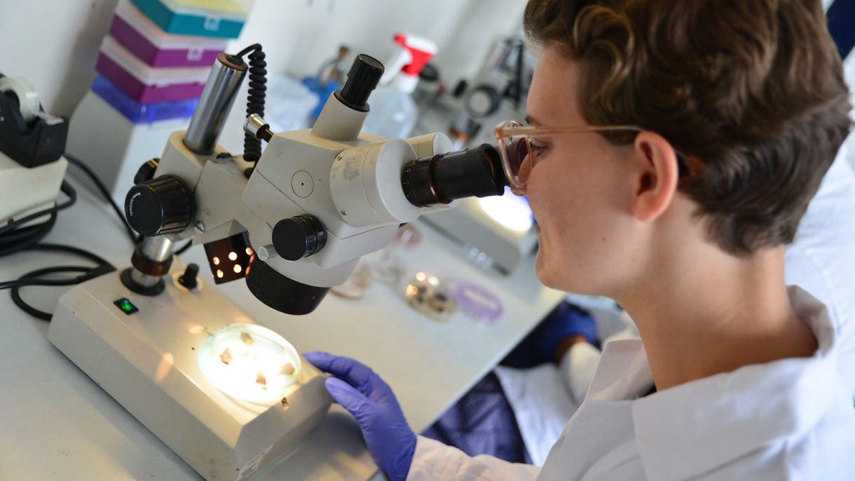 Meisje kijkt in microscoop
