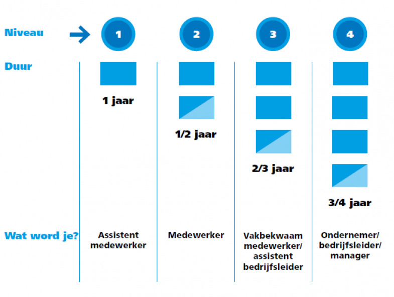 Overzicht niveaus