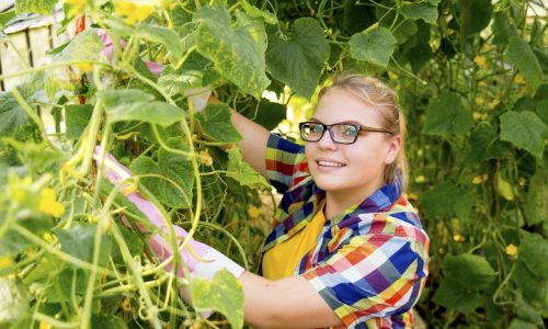 Meisje controleert planten