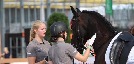 Twee studenten van Lentiz staan naast Fries paard op Horse Event