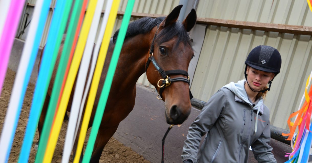 Student paardenhouderij loopt met paard door gekleurde linten