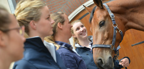 Lentiz MBO Paardensport Equestrum