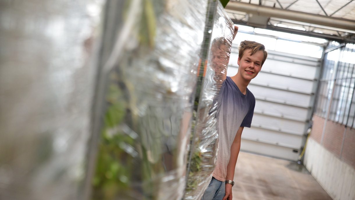 Jongen staat schuin achter kar met planten