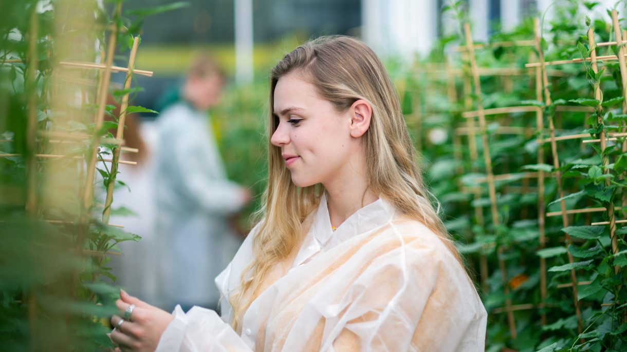 Student in kas