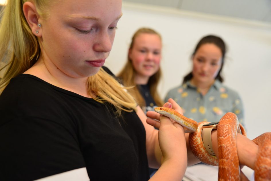 Studenten met slang Dierverzorging