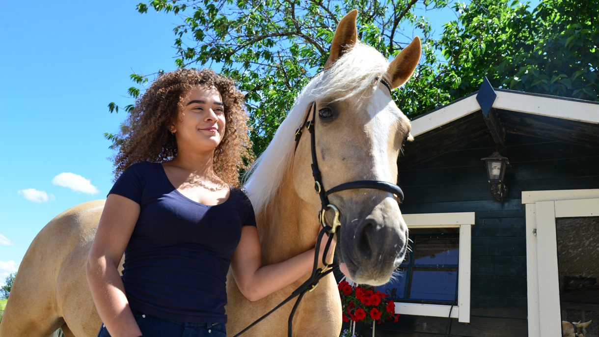 Meisje met paard