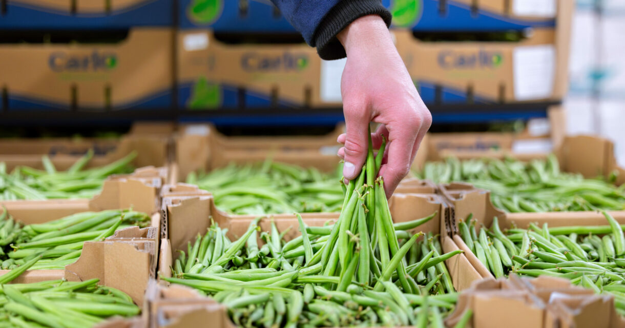 Groene Business en Logistiek