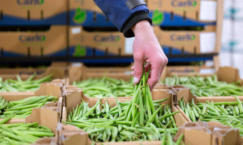 Groene Business en Logistiek