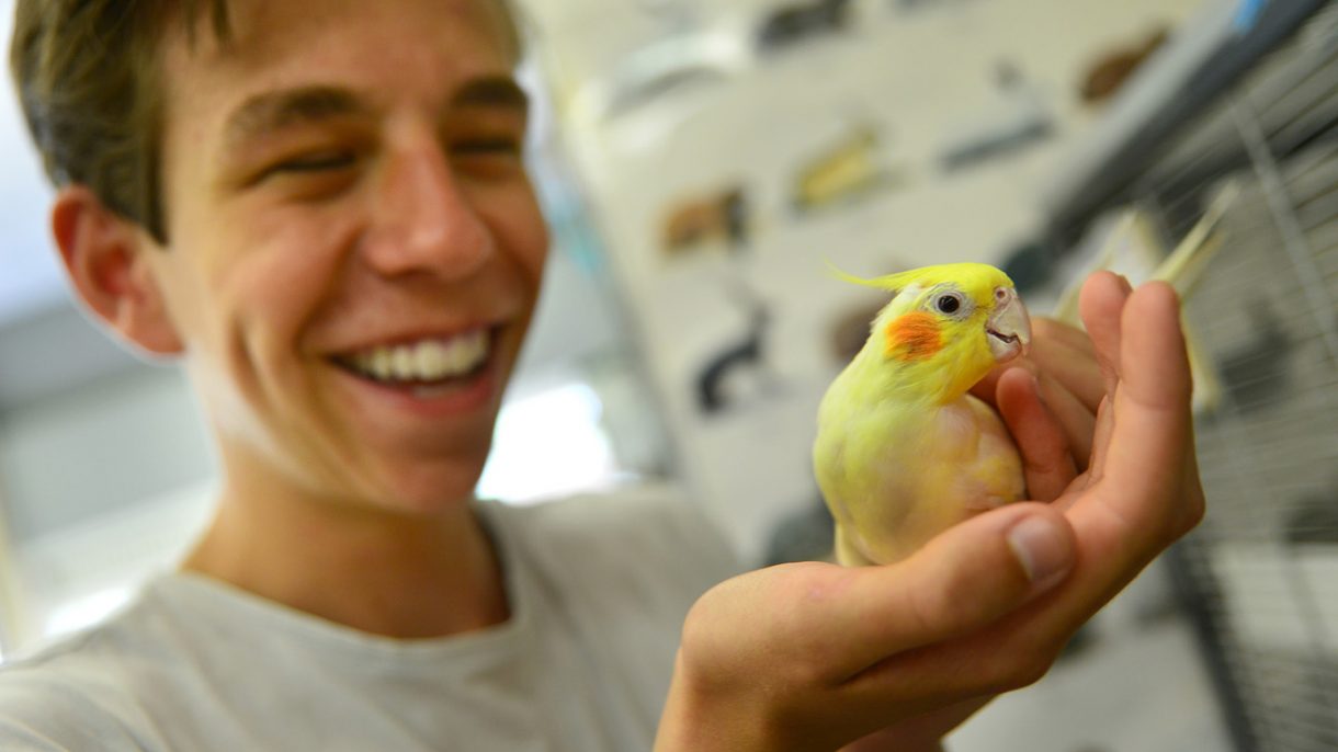 Jongen hanteert valkparkiet