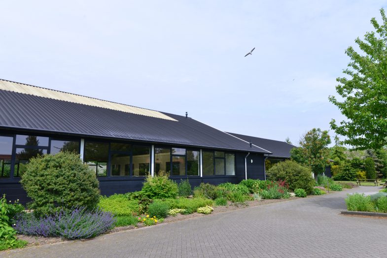 Schuinaanzicht schoolgebouw met overvliegende meeuw