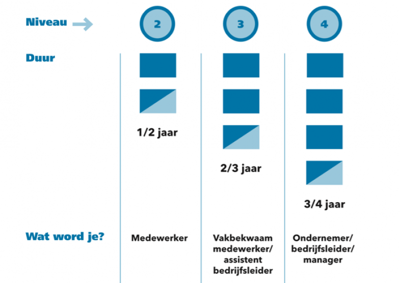 drie opleiding niveau's