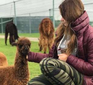 meisje met alpaca