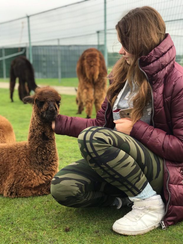 meisje met alpaca