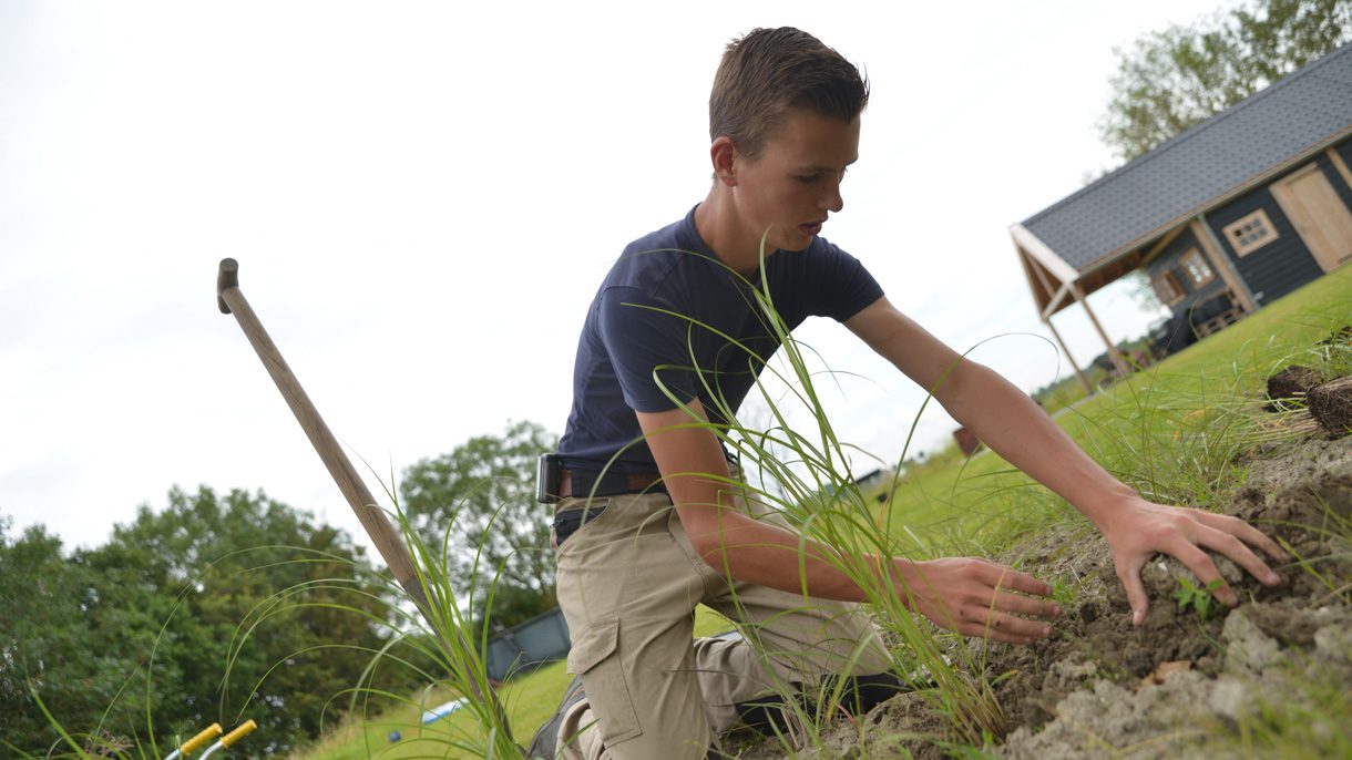 jongen plant siergras