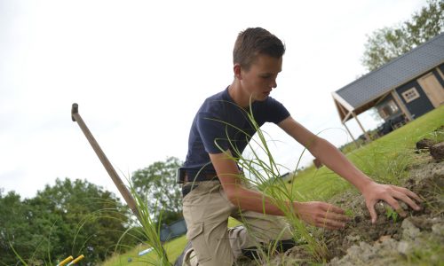 jongen plant siergras