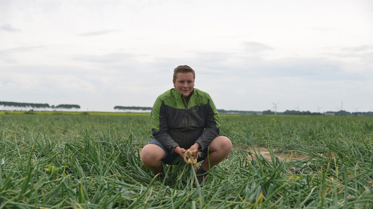 Jongen zit gehurkt tussen de gerooide uien