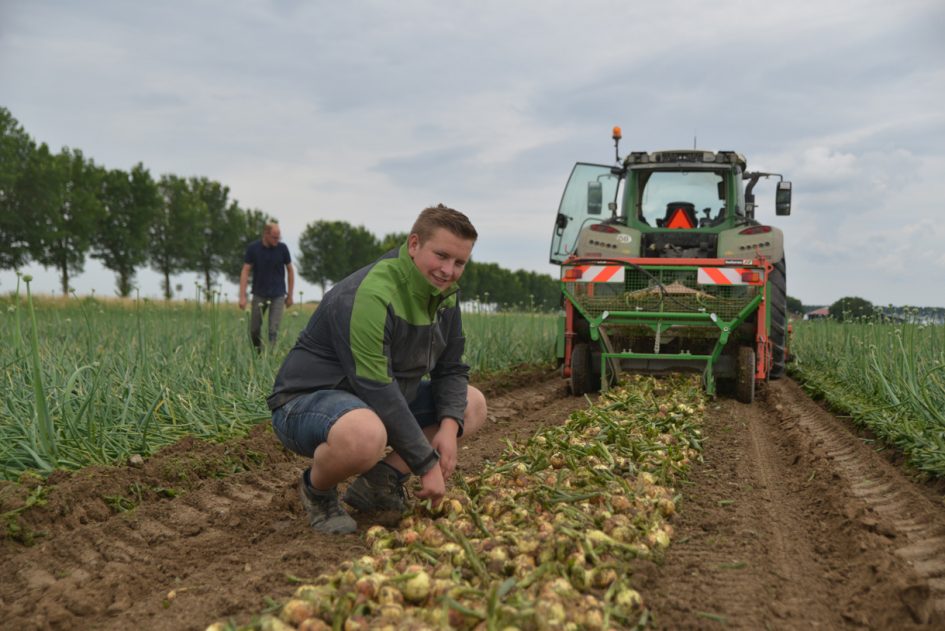 jongen zit naast gerooide uien