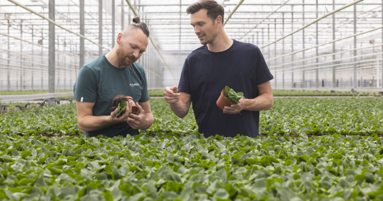kennis overdragen binnen je eigen bedrijf