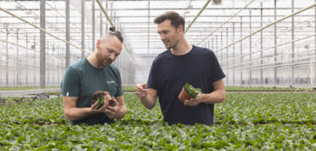 kennis overdragen binnen je eigen bedrijf