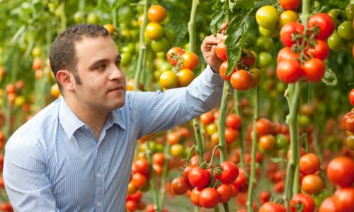 Algemene tuinbouwkennis