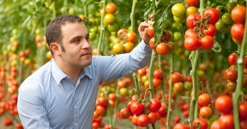 Algemene tuinbouwkennis