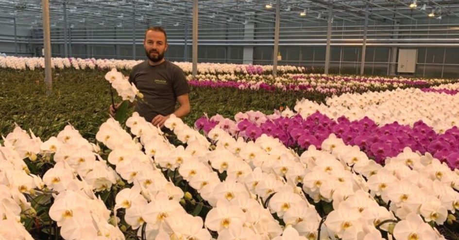 Cursus- effectief-communiceren-leidinggeven-opti-flor