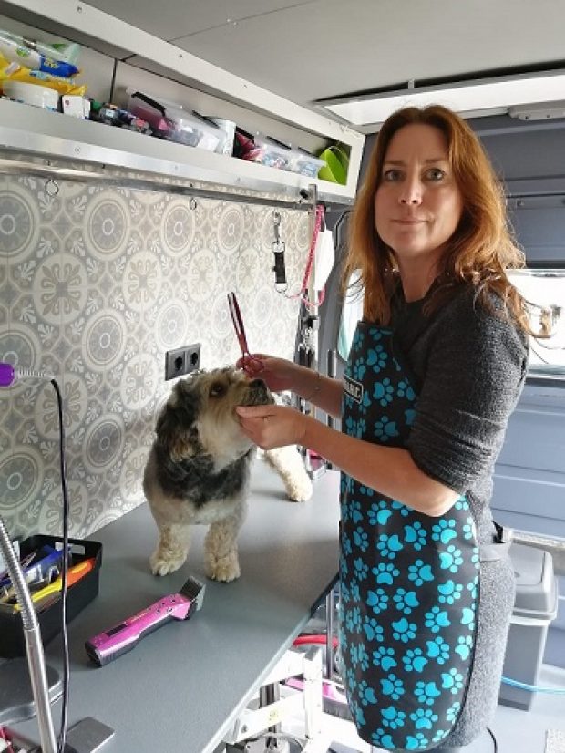 Rebecca knipt hond op tafel - hondentrimsalon