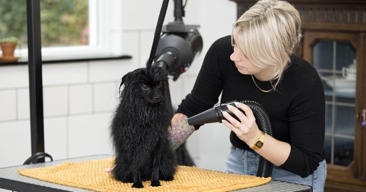 hond trimmen op tafel - hondetrimmen in garage