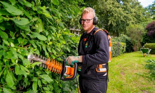 Sybrand uit Moordrecht hovenier