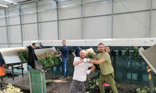 leertraject groeien in communcieren en leidinggeven schuur