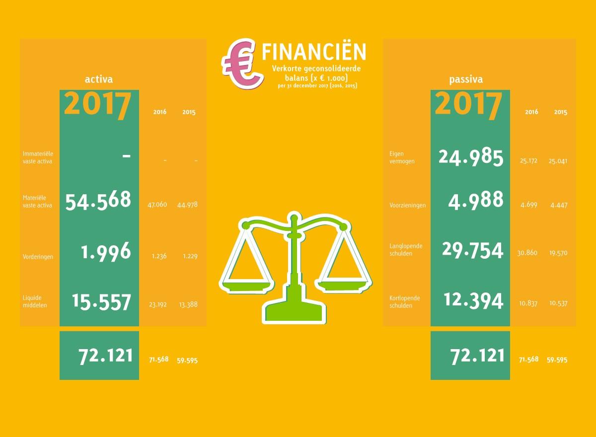 verkorte-geconsolideerde-balans-2017