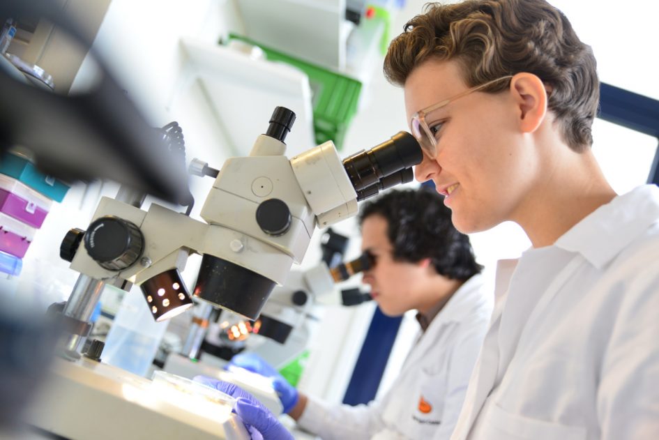 Student Voeding & Kwaliteit kijkt in microscoop