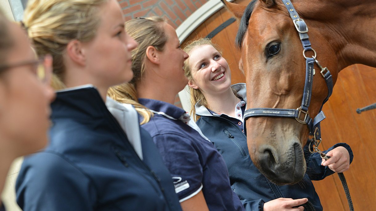 Niet genoeg in verlegenheid gebracht Minst Paardensport - Lentiz | MBO Maasland