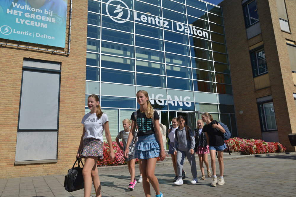 Mavo Lentiz Dalton College