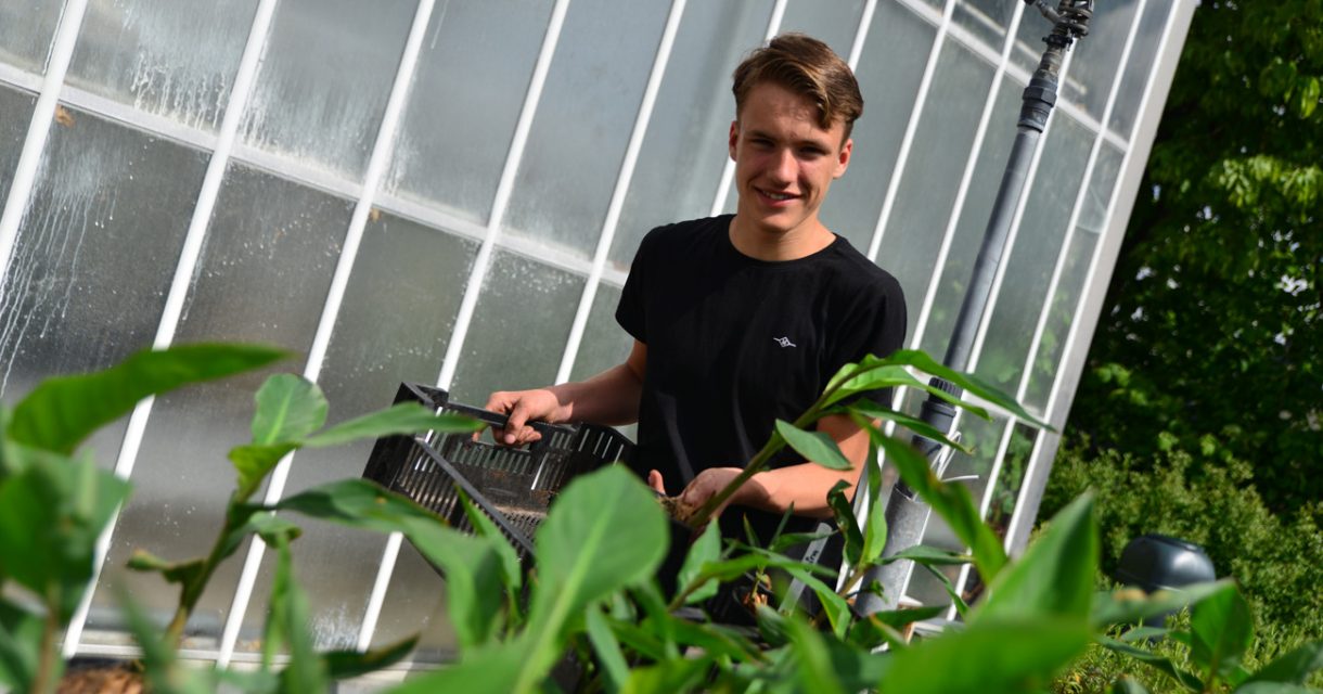 leerling bij de planten