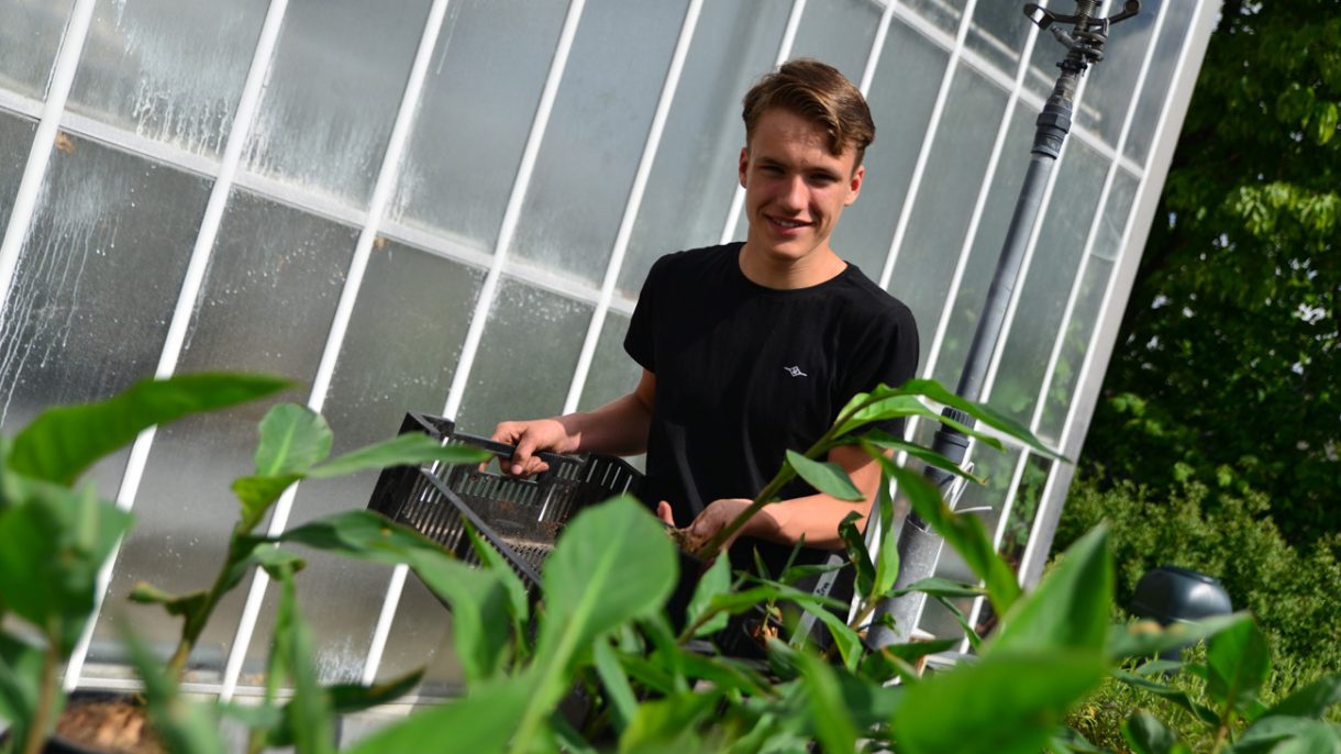 leerling bij de planten