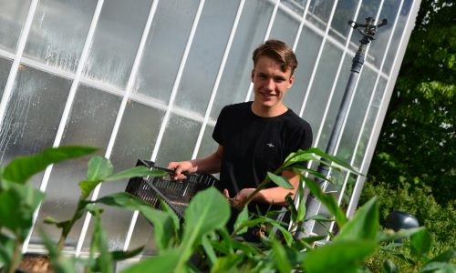 leerling bij de planten