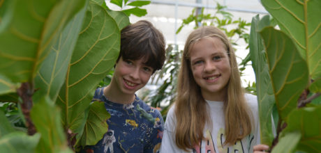 Afbeelding leerlingen in praktijkkas - open dag vmbo maasland