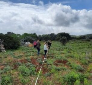 Paardenklas in Portugal