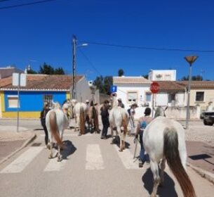 Paardenklas in Portugal