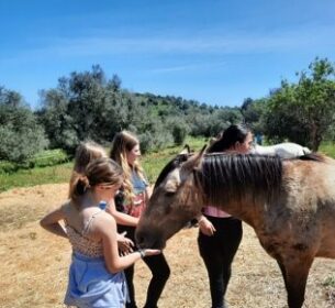 Paardenklas in Portugal