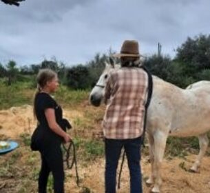 Paardenklas in Portugal