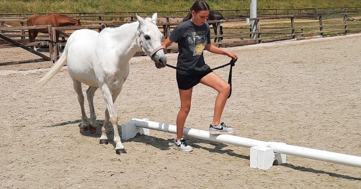 Foto meisje met paard - Afsluiting paardenklas